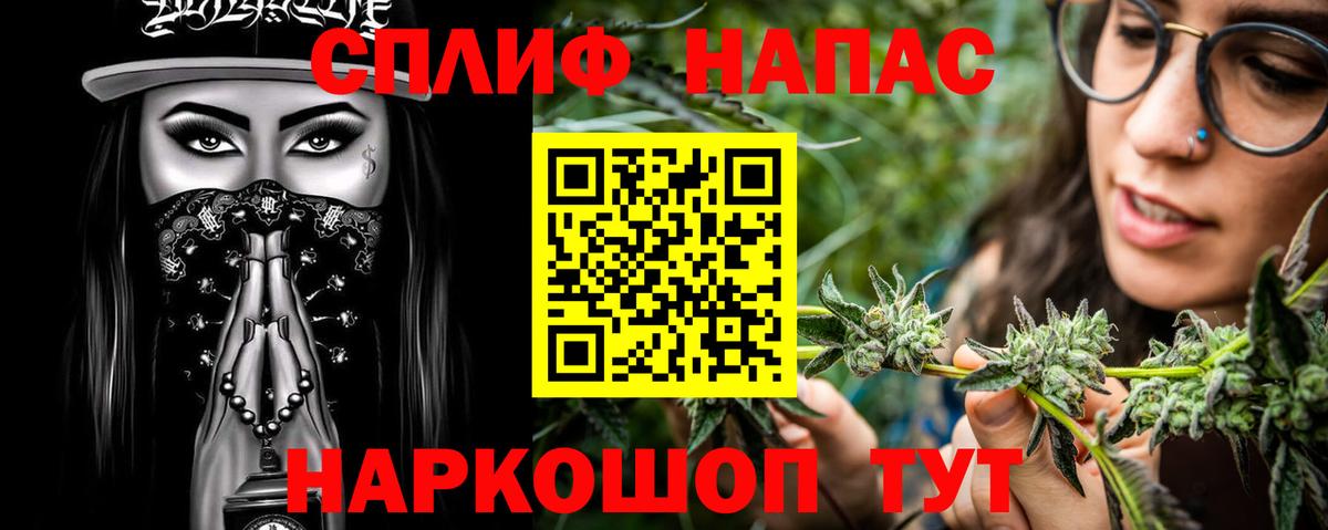 Бошки Шишки планчик Ливны